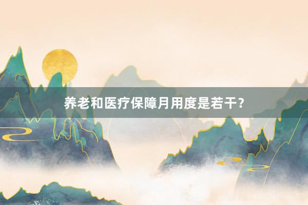 养老和医疗保障月用度是若干？