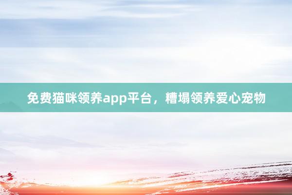 免费猫咪领养app平台，糟塌领养爱心宠物