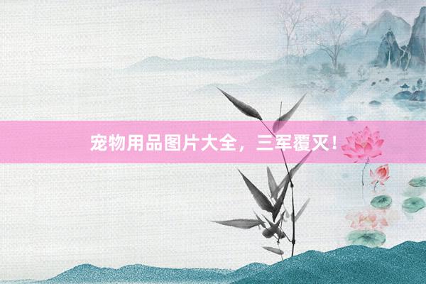 宠物用品图片大全，三军覆灭！