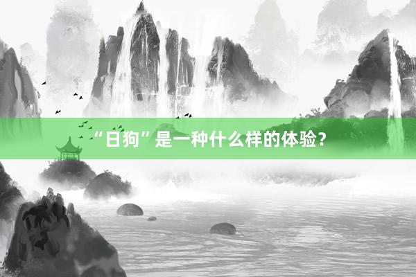 “日狗”是一种什么样的体验？